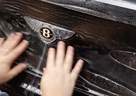 Pre-cut Pattern Software Film